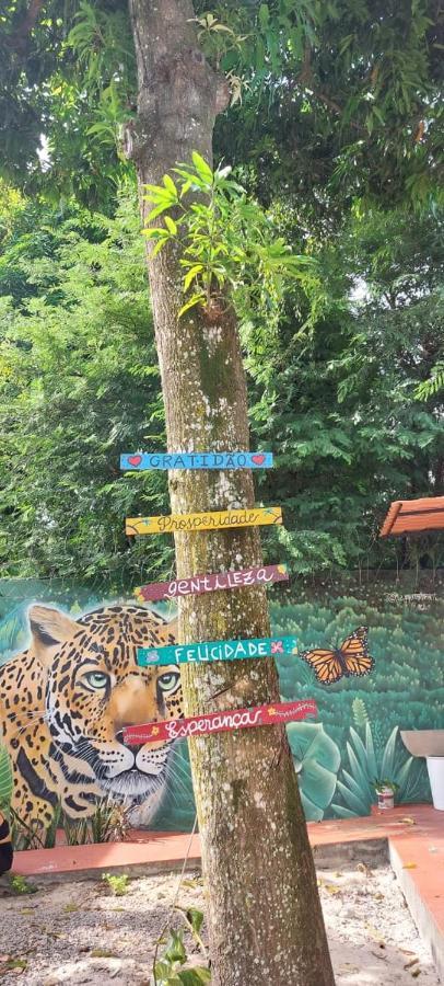 Aldeia Hostel II マナウス エクステリア 写真