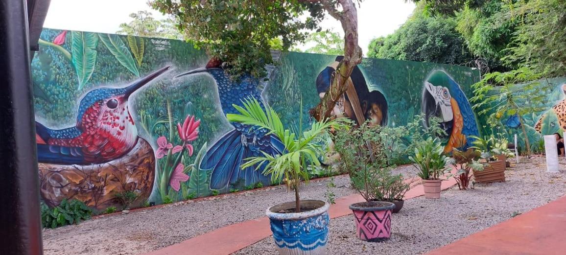 Aldeia Hostel II マナウス エクステリア 写真
