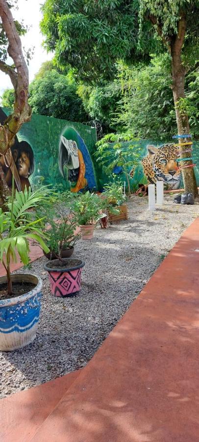 Aldeia Hostel II マナウス エクステリア 写真